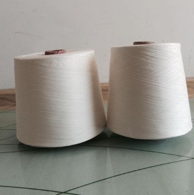 點擊查看詳細信息<br>標題：賽絡(luò)紡竹纖維 閱讀次數(shù)：2774