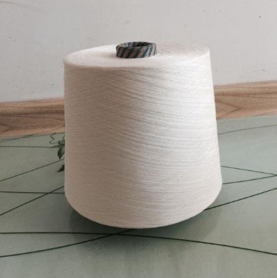 點擊查看詳細(xì)信息<br>標(biāo)題：G100天絲紗 閱讀次數(shù)：2948