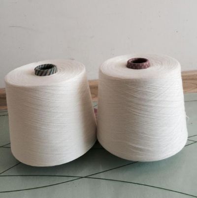 點擊查看詳細(xì)信息<br>標(biāo)題：A100天絲紗 閱讀次數(shù)：3366