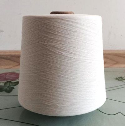 點擊查看詳細信息<br>標題：維綸紗 閱讀次數(shù)：3465