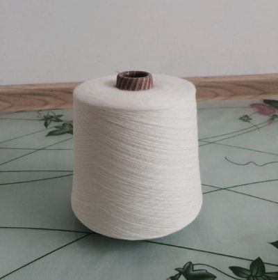 點擊查看詳細(xì)信息<br>標(biāo)題：膨體腈綸紗 閱讀次數(shù)：3181