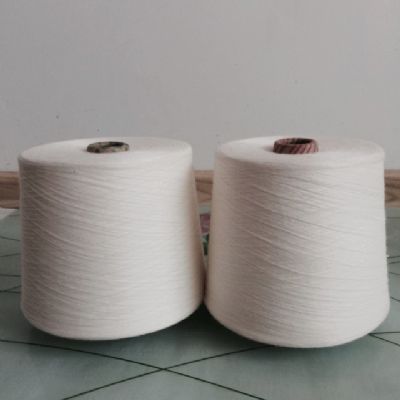 點(diǎn)擊查看詳細(xì)信息<br>標(biāo)題：阻燃腈綸紗 閱讀次數(shù)：4962