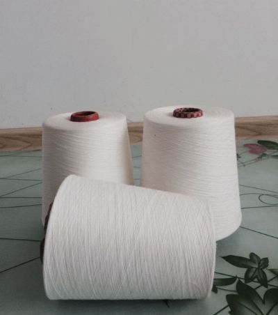 點擊查看詳細信息<br>標(biāo)題：環(huán)錠紡滌綸紗 閱讀次數(shù)：9886