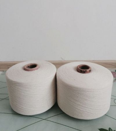 點擊查看詳細信息<br>標(biāo)題：氣流紡滌棉紗 閱讀次數(shù)：10235