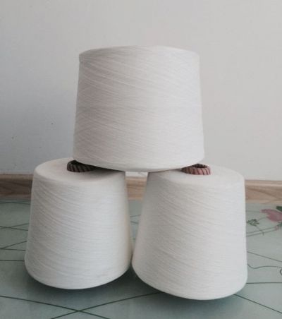 點擊查看詳細信息<br>標題：阻燃滌綸紗 閱讀次數(shù)：4675