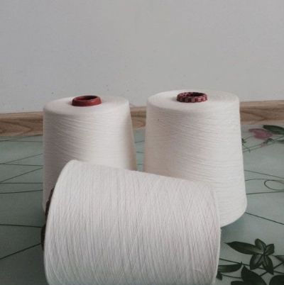 點(diǎn)擊查看詳細(xì)信息<br>標(biāo)題：環(huán)錠紡麻灰紗 閱讀次數(shù)：1013